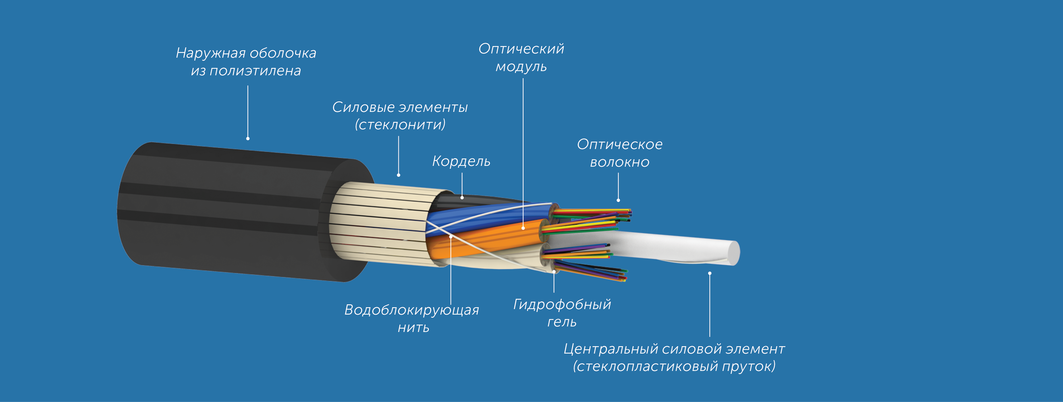 b0a565b8d2e311e980bd000c29d70fd6_c50203953c1311ec80dd000c29d70fd6